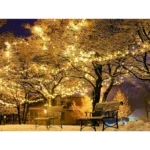 LOENDE Christmas Lights, 50 LED Battery Operated String Lights 18FT Mini String Lights, Indoor Outdoor Patio Party Christmas Decor, Multicolor, 2 Pack - Image 6