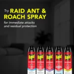 (5 pack) Raid Ant & Roach Killer, Indoor Insecticide, Residual Killing Power, Outdoor Fresh Scent, 17.5 oz, Pack of 2 - Image 6