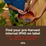 Sevin Ready-to-Use Trigger Spray Insect Killer, 1 Qt. Bottle Liquid - Image 6