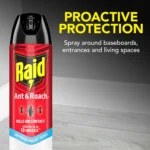 (5 pack) Raid Ant & Roach Killer, Indoor Insecticide, Residual Killing Power, Outdoor Fresh Scent, 17.5 oz, Pack of 2 - Image 5