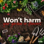 Sevin Ready-to-Use Trigger Spray Insect Killer, 1 Qt. Bottle Liquid - Image 11