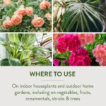 Garden Safe Brand Houseplant & Garden Insect Killer, 32 Ounces - Image 8