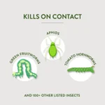 Garden Safe Brand Houseplant & Garden Insect Killer, 32 Ounces - Image 9