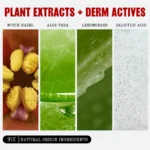 Thayers Acne Clearing Pads – 2% Salicylic Acid Alcohol-Free Treatment for Blemishes & Blackheads, 60 Count - Image 2