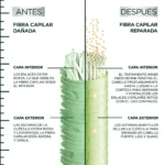 Garnier Fructis Inner Fiber Restore Peptide Repair Treatment – 10.1 fl oz - Image 7